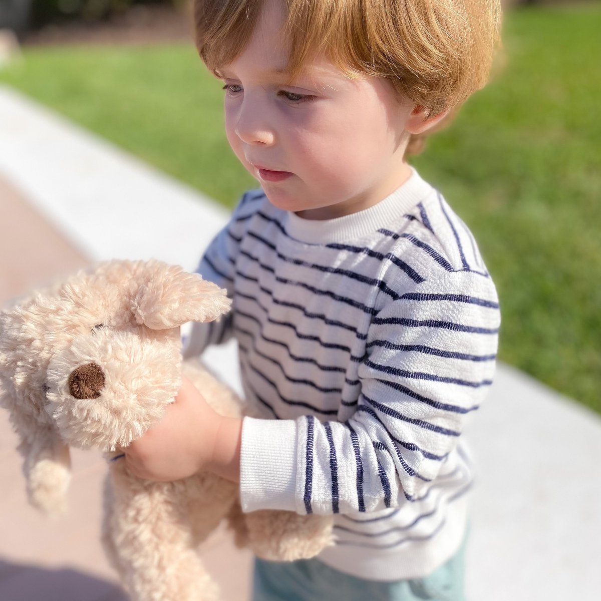 Bentley Goldendoodle Plush Dog