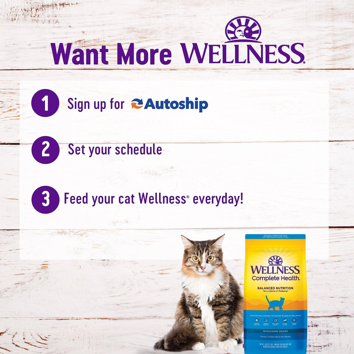 Wellness Complete Health Chicken and Rice Dry Cat Food