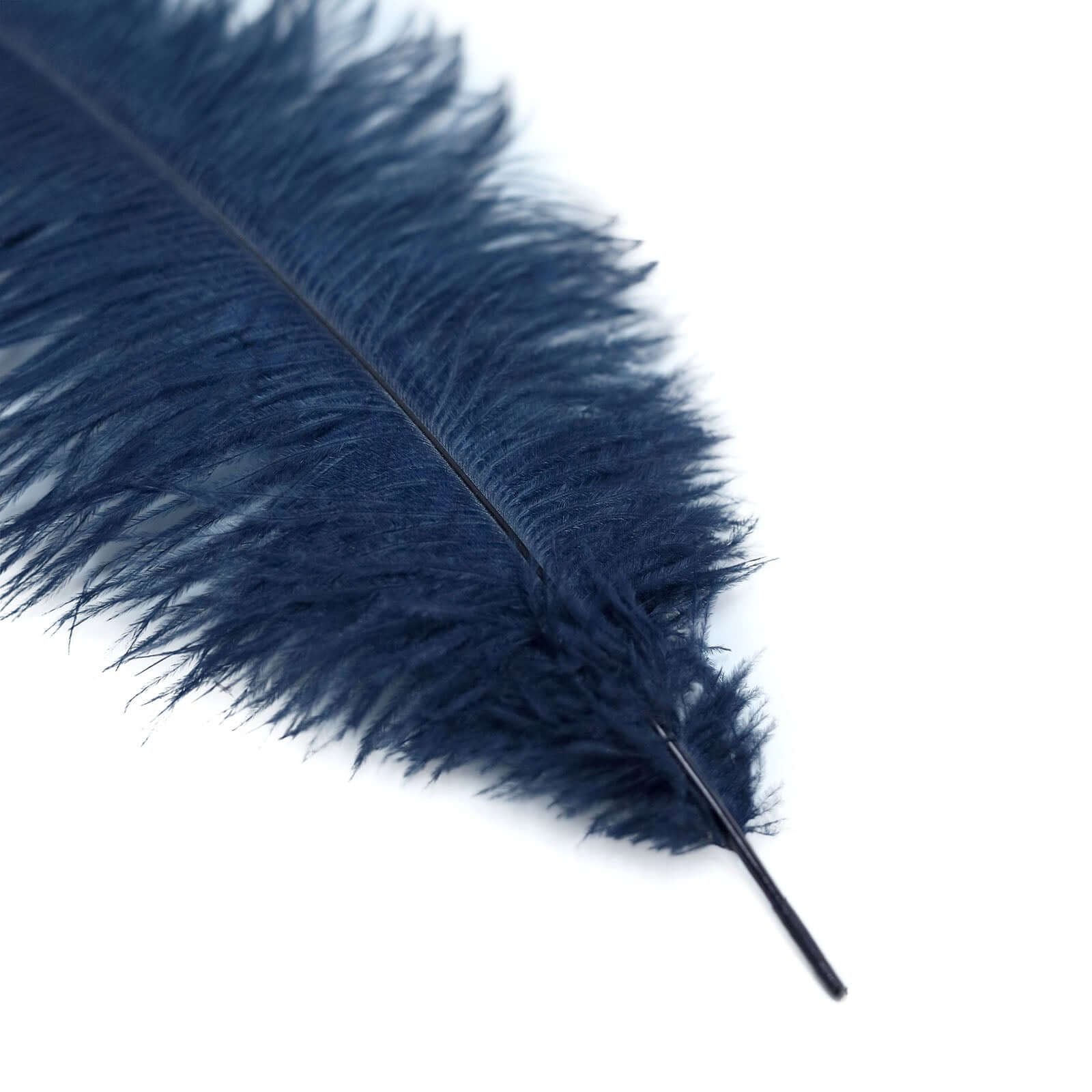 12 Pack Navy Blue Natural Plume Real Ostrich Feathers, DIY Centerpiece Fillers 13