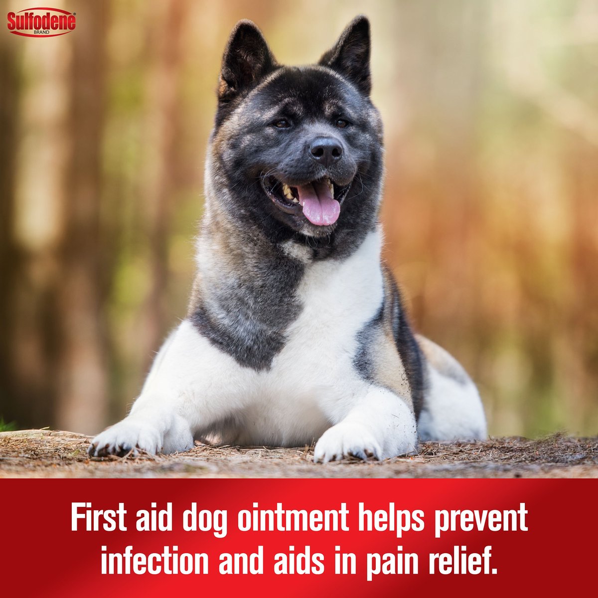 Sulfodene 3-Way Ointment for Dogs