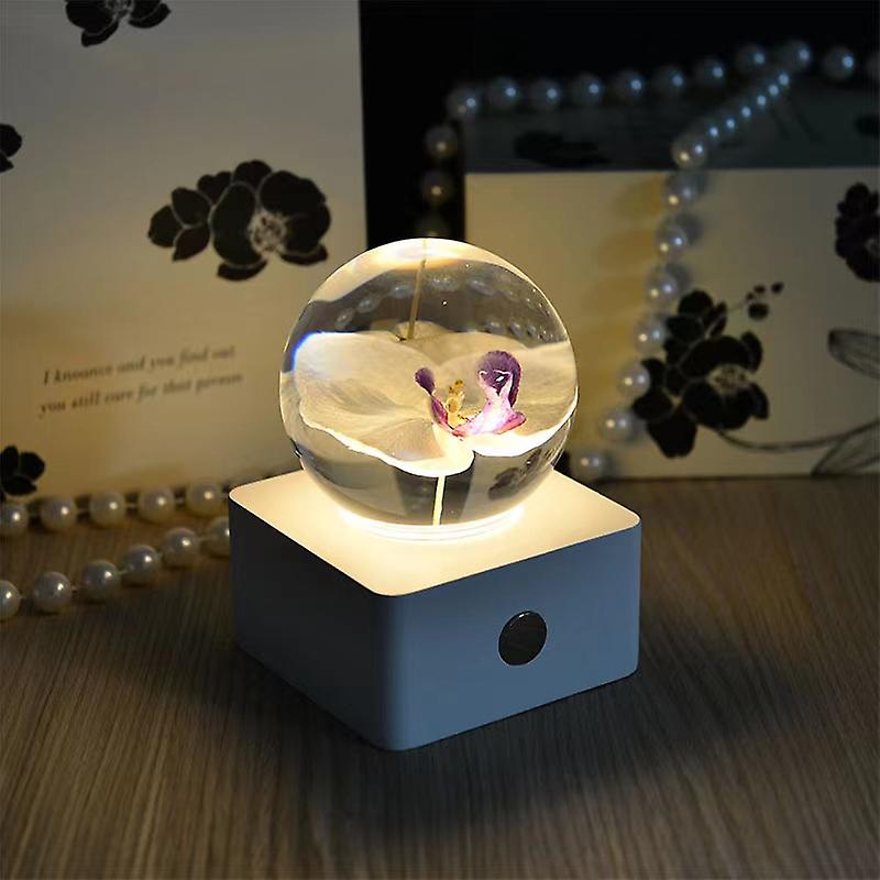 Crystal Ball Nightlight Phalaenopsis Night Light Creative Birthday Gift Beech Base Luminous Resin Led Lamp Pendant