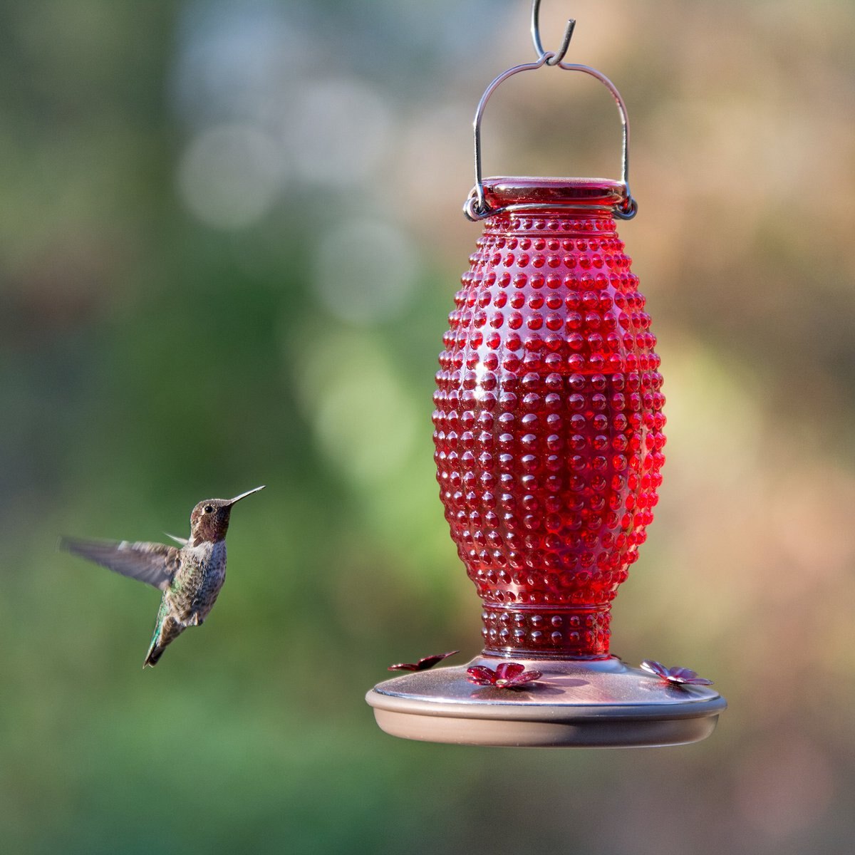 Perky-Pet Red Hobnail Vintage Hummingbird Feeder