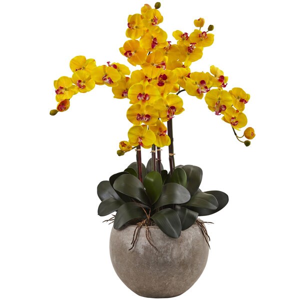 Nearly Natural Multicolored Silk Phalaenopsis Orchid Floral Arrangement