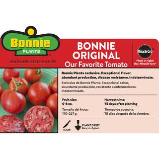 Bonnie Plants 1.19 qt. Bonnie Original Tomato Plant (6-Pack) 0202