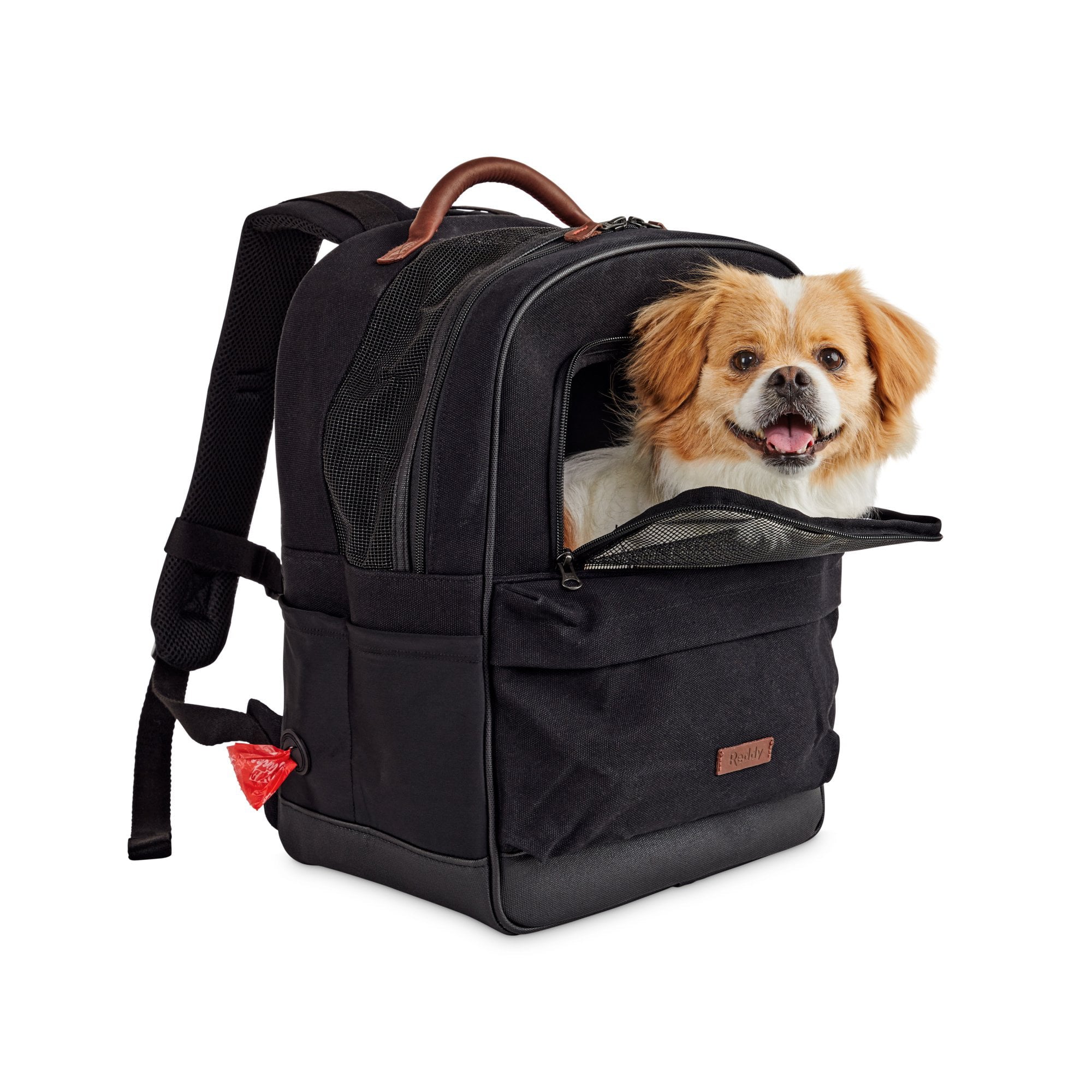 Reddy Black Cotton Canvas Pet Carrier Backpack， 16; H x 13; W x 8; D