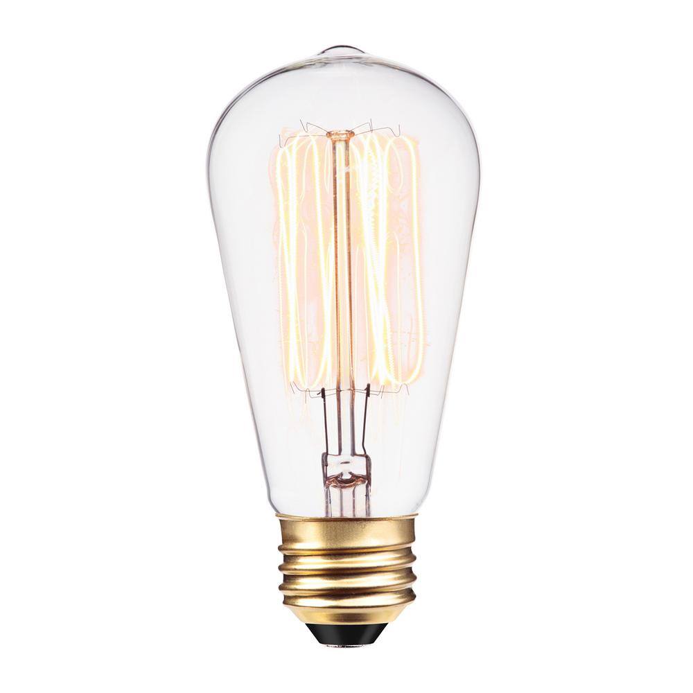 Globe Electric 60 Watt ST19 Dimmable Cage Filament Vintage Edison Incandescent Light Bulb Warm White Light 01321