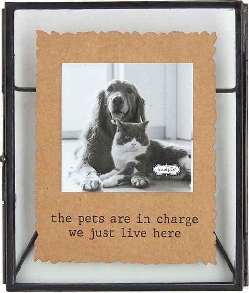 Mud Pie The Pets Are In Charge We Just Live Here Glass Pet Frame