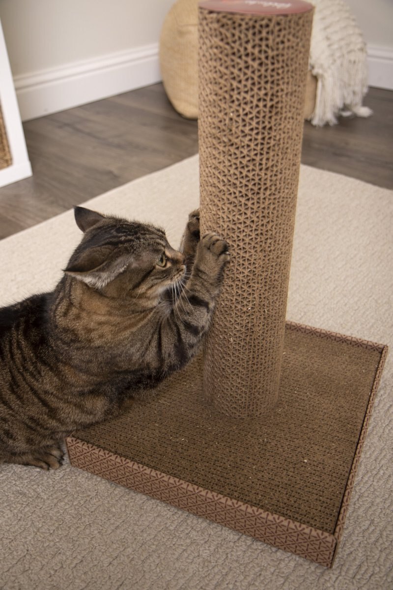 Petlinks Scratcher's Choice Pillar Tower Cat Scratcher Toy with Catnip