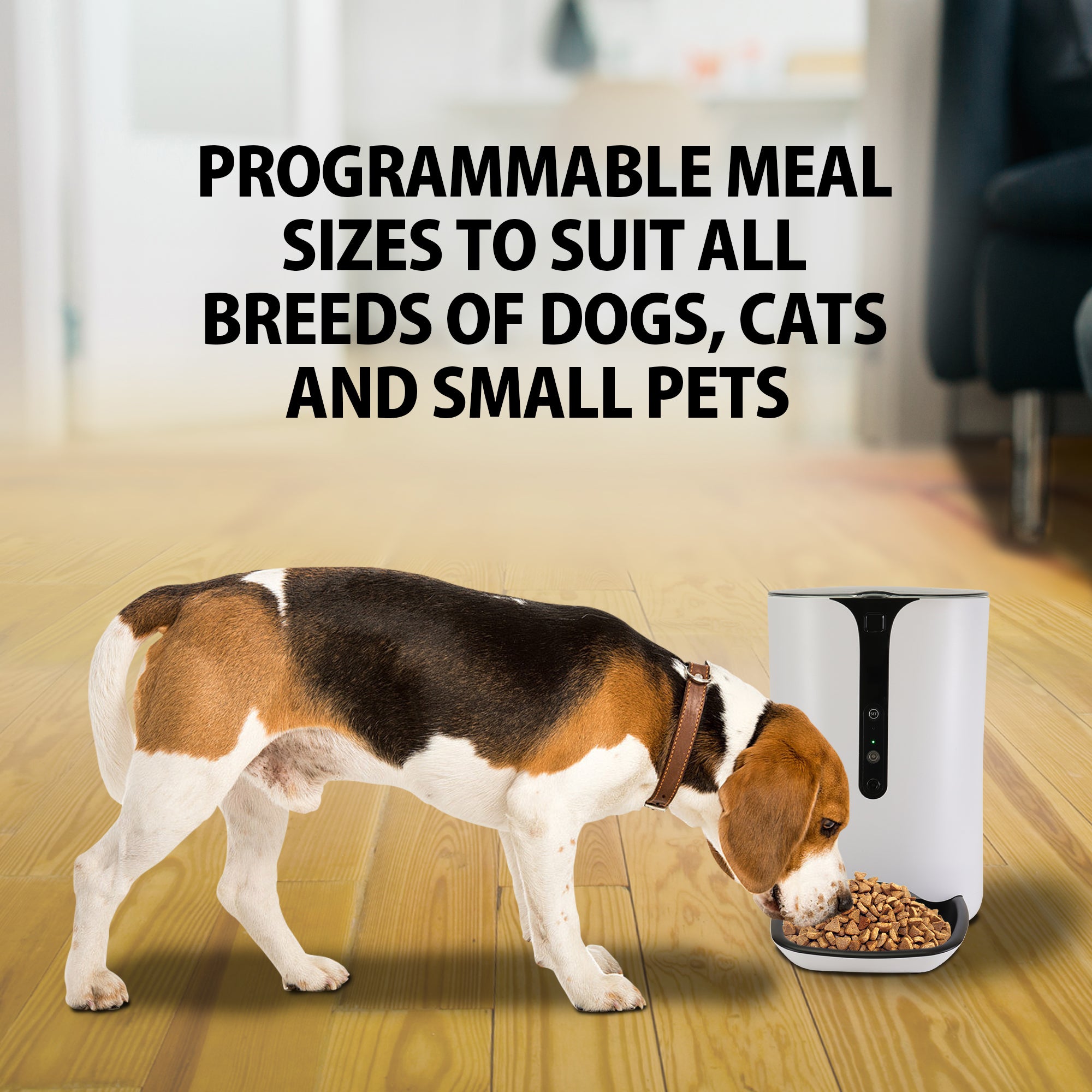 Lentek Smart Pet Feeder with 720p HD Video 2-Way Audio， 200 oz， Free App， White