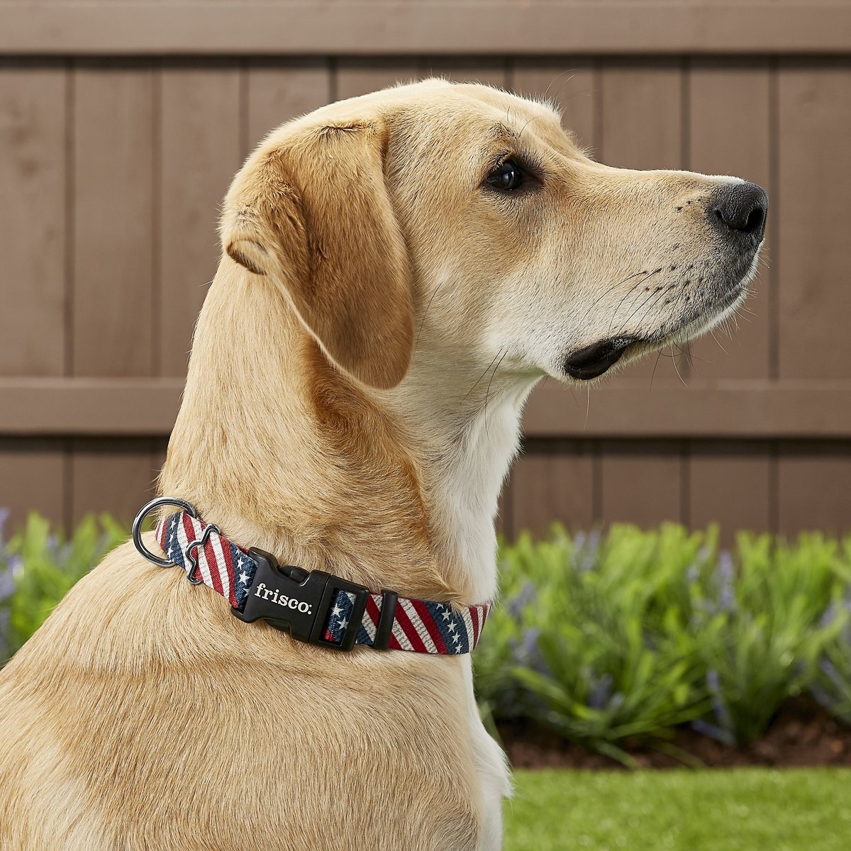 Frisco American Flag Polyester Dog Collar