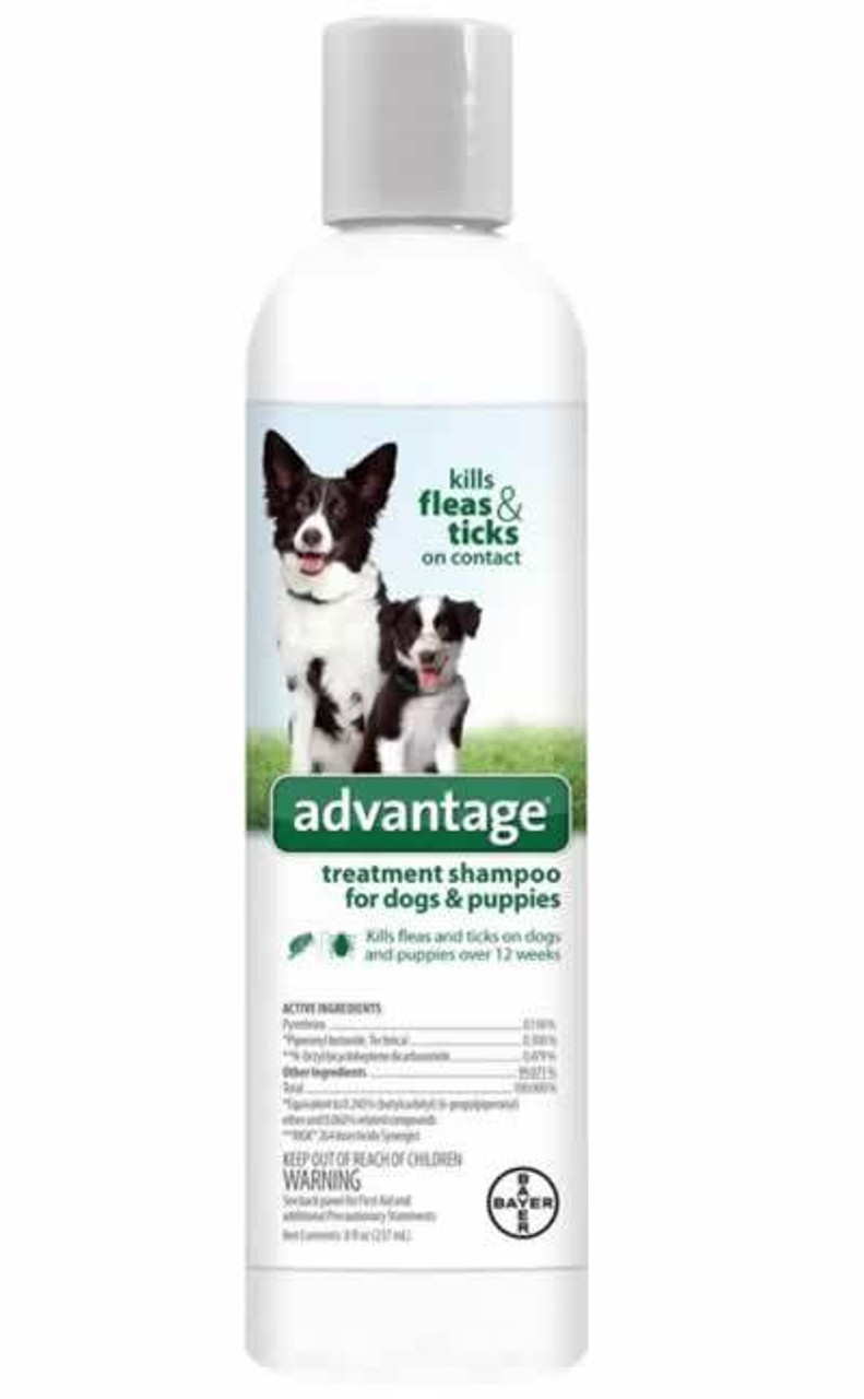 Bayer Advantage Treatment Shampoo for Dogs and Puppies