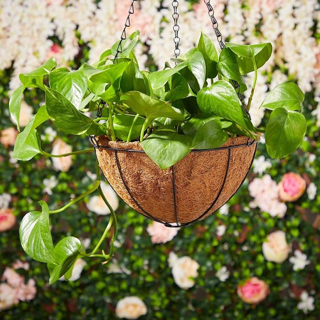 10 Inch Hanging Plants Basket For Outdoor With Coco Coir Liner Metal Hanger For Flower Garden Patio Decoration