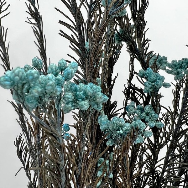 Bundle of 4 Preserved Millet ，Rice Flower