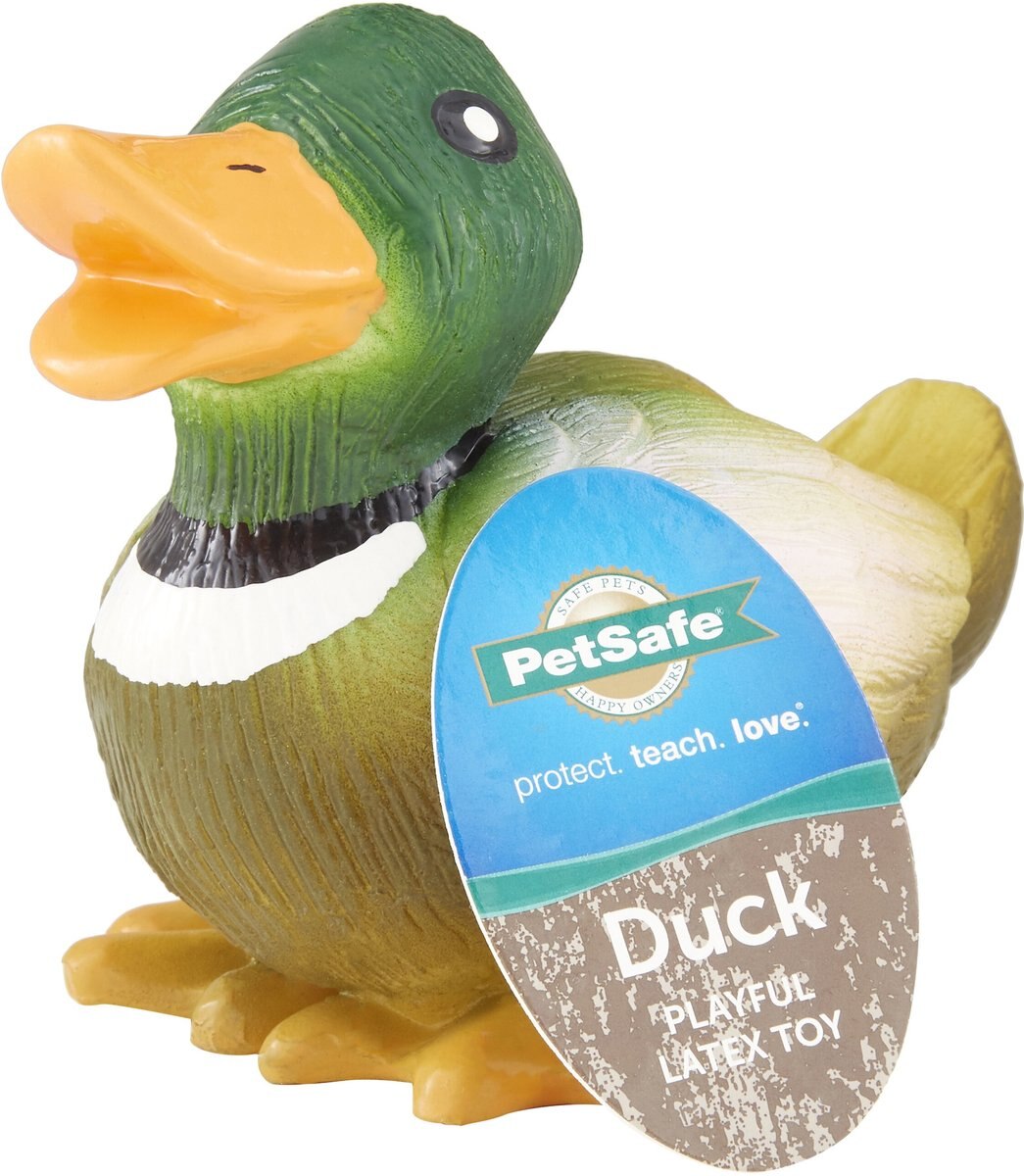 PetSafe Busy Buddy Latex Meeze Duck Squeaky Dog Toy