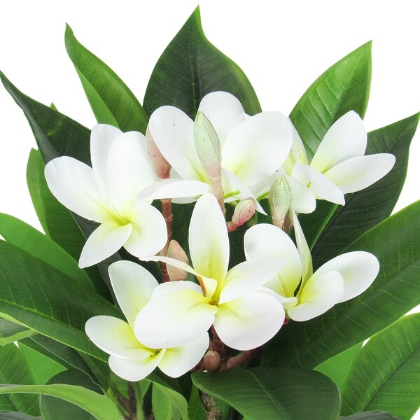 2.25ft Cream Artificial Plumeria Flower Tree Tropical Plant in Black Pot