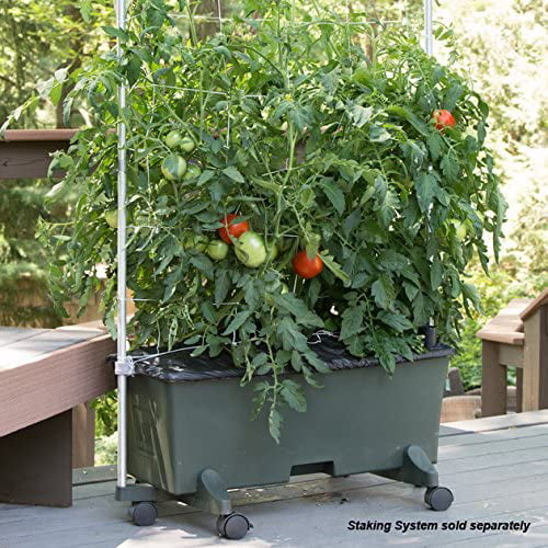 EarthBox Container Gardening System - Green