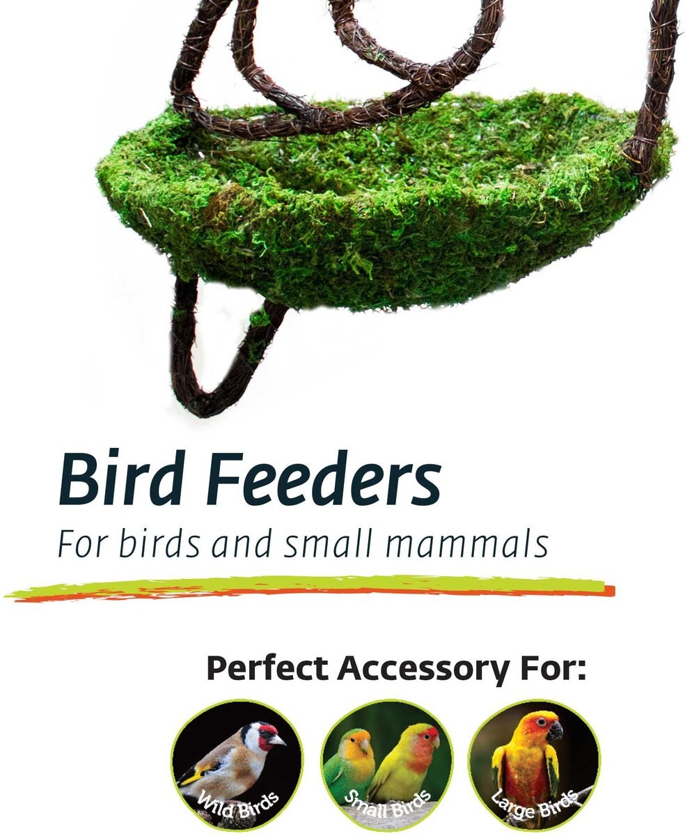 Galapagos Woven Bird Feeder， Dove， Fresh Green