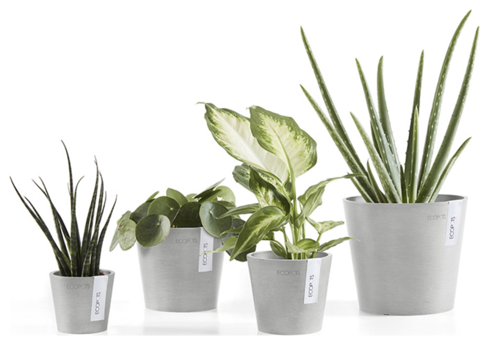 Ecopots Amsterdam Indoor   Outdoor  Planter Flower Pot  Mini White Grey  5 quot  Contemporary   Outdoor Pots And Planters   by Esbenshades Greenhouses  Houzz