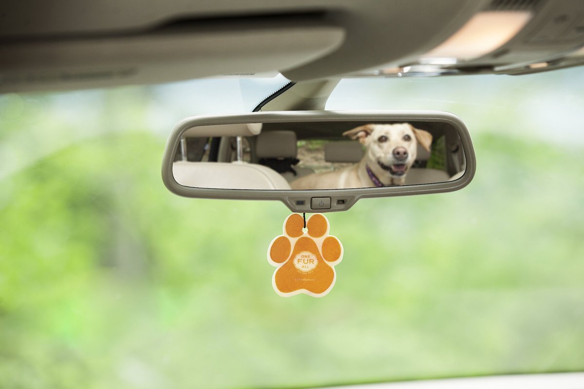 Pet House Mandarin Sage Car Air Freshener