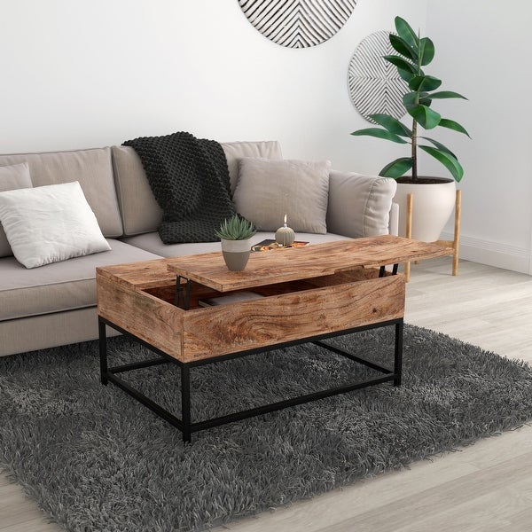 Carbon Loft Fingerling Natural Burnt Lift-top Coffee Table