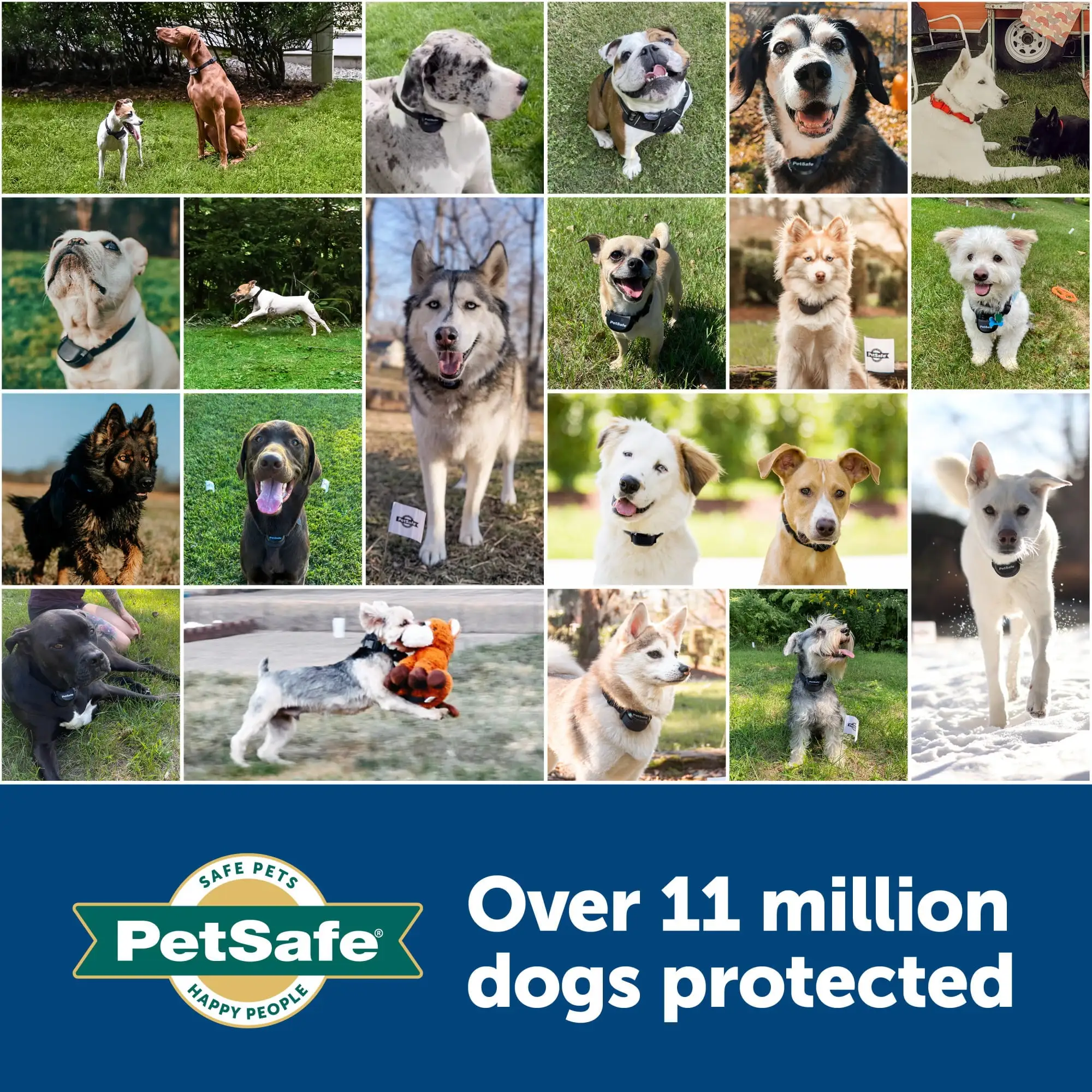 PetSafe Stubborn Dog Stay and Play Wireless Fence Receiver Collar， Waterproof， Rechargeable