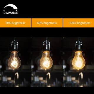 YANSUN 60-Watt Equivalent Vintage A19 Dimmable E26 Base Incandescent Edison Light Bulb 2700K (4-Pack) H-WS002RW60E26-4