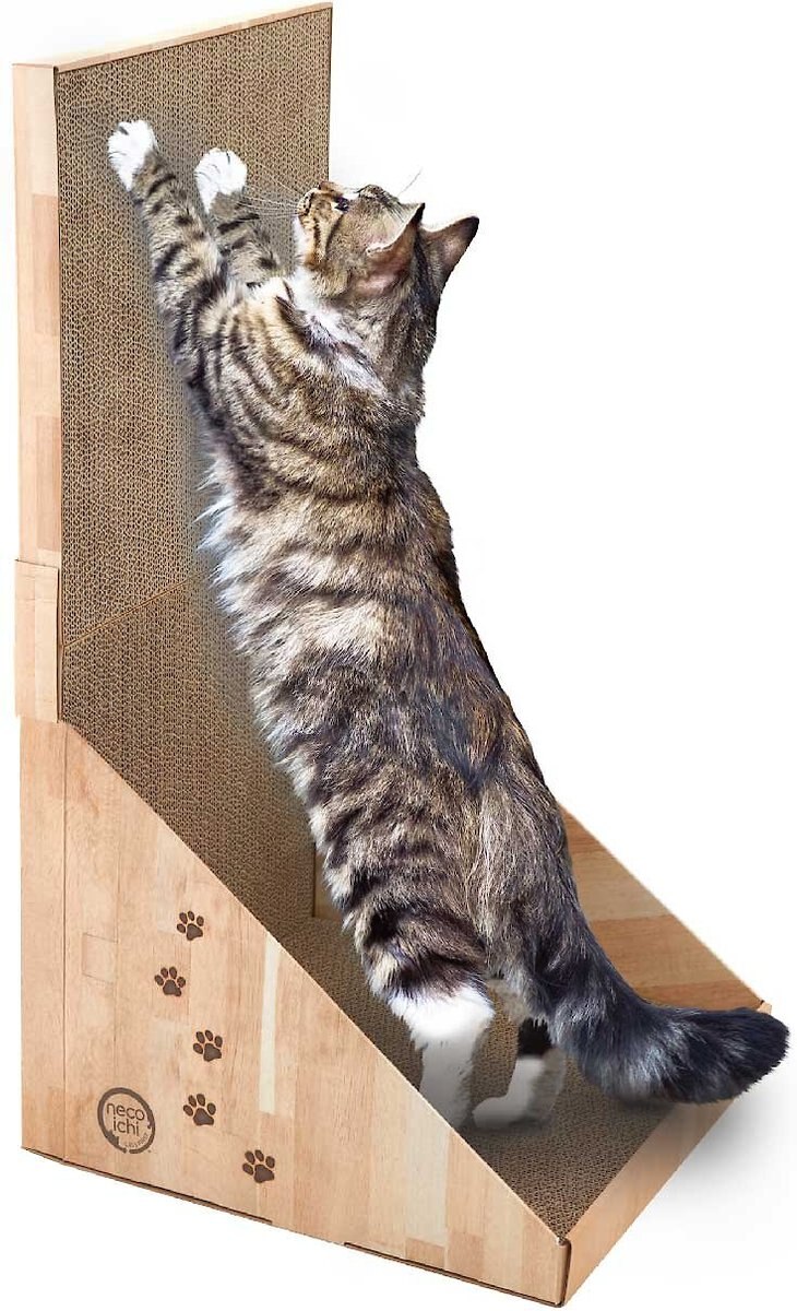 Necoichi Stretch and Scratch Wall Cat Scratcher Toy