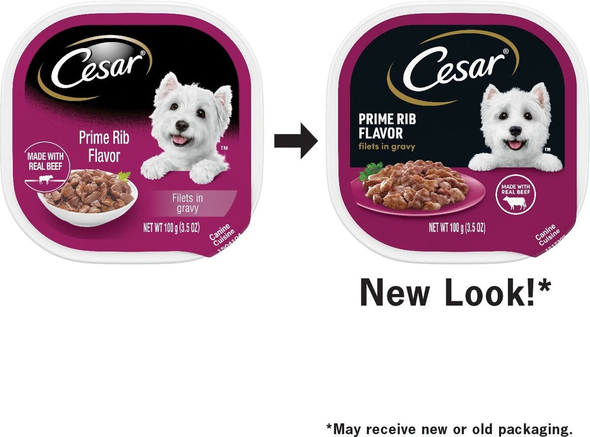 Cesar Filets in Gravy Prime Rib Dog Food Trays