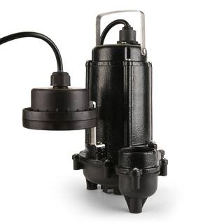 ECO FLO 13 HP WiFi Enabled Sump Pump System EFWIFI33