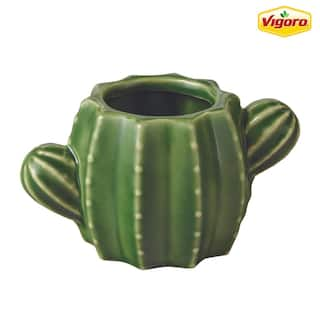 Vigoro 6.7 in. Raker Cactus Small Green Ceramic Pot (6.7 in. D x 3.7 in. H) With Drainage Hole CRM-094258