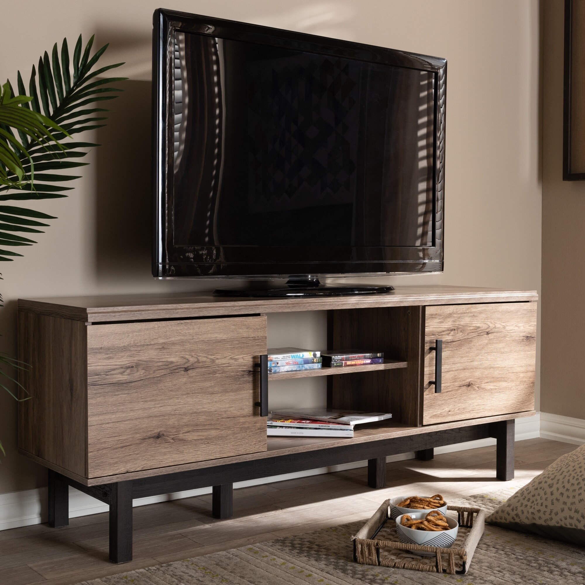 Contemporary 2-Door TV Stand