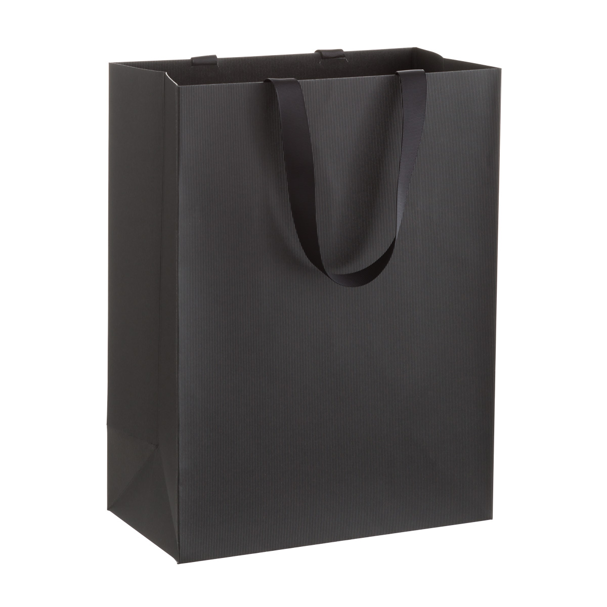 Large Gift Bag