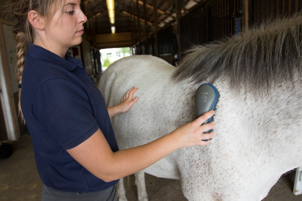 Oster Equine Care Stiff Grooming Horse Brush