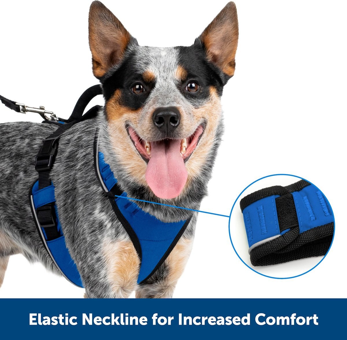 PetSafe EasySport Nylon Reflective Back Clip Dog Harness