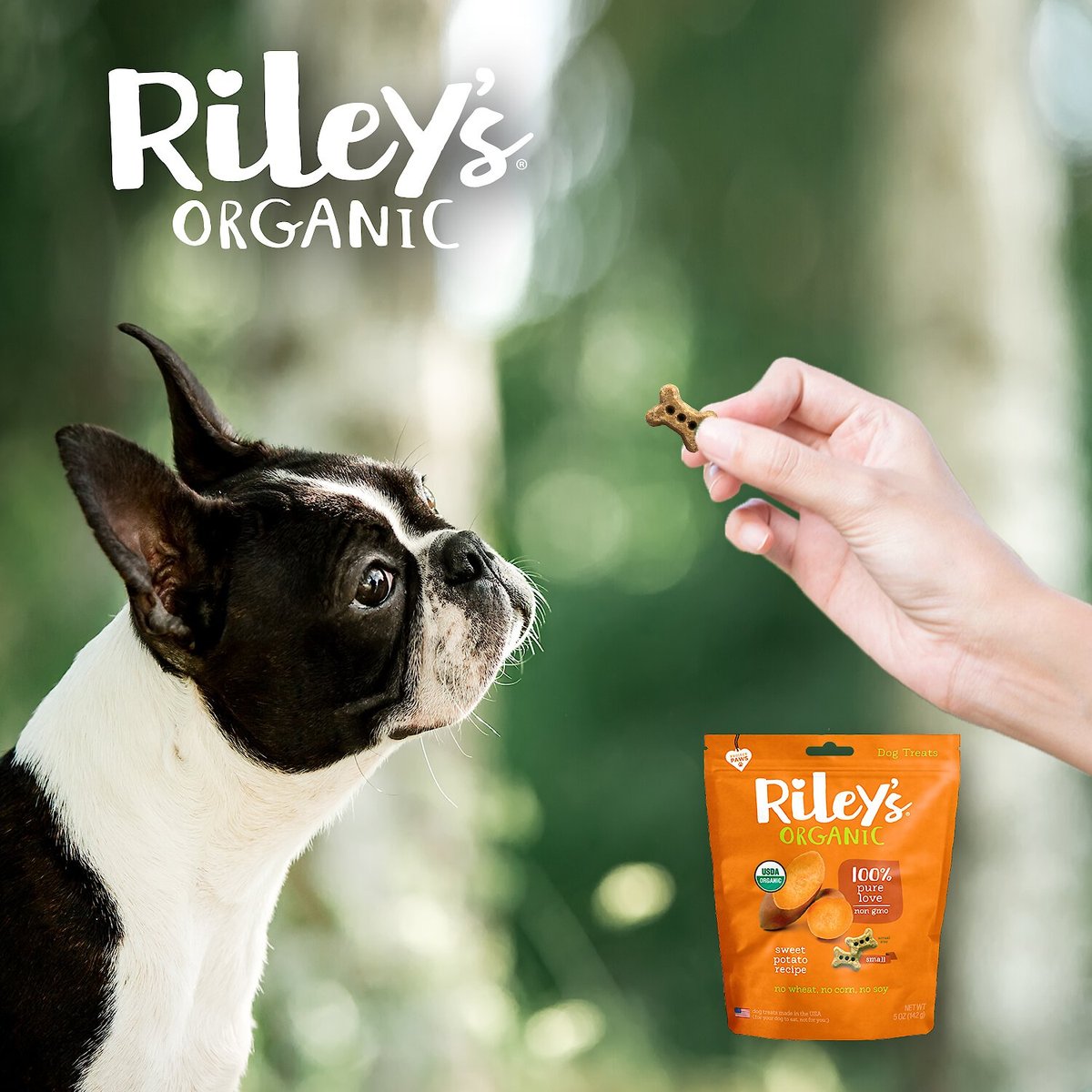 Riley's Organic Sweet Potato Recipe Biscuit Dog Treat， 5-oz bag