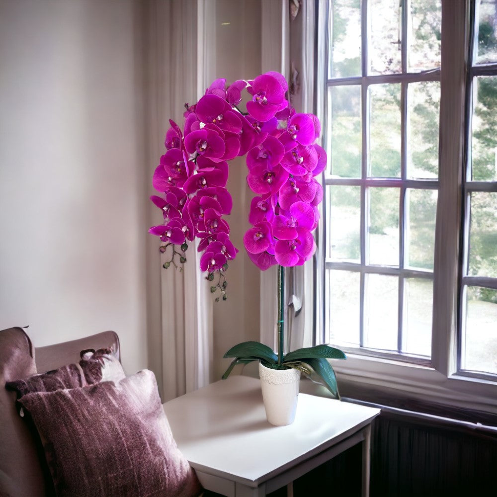 Gorgeous Fucshia Orchid with 22 Flowers in Conical Pot