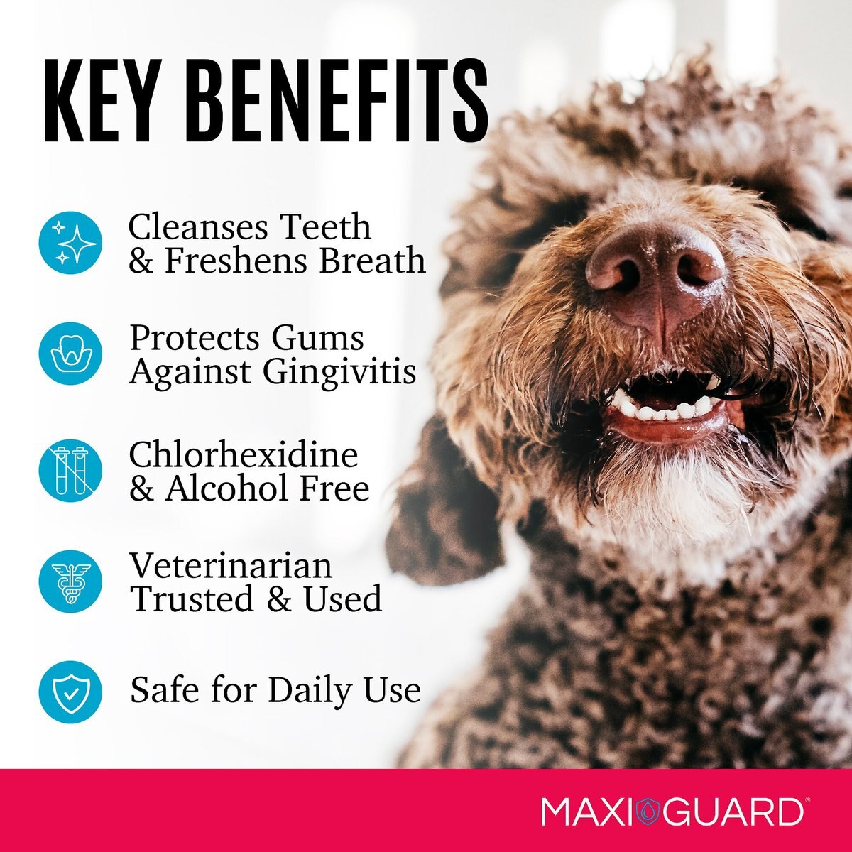 MAXI/GUARD Pet Dental Gel