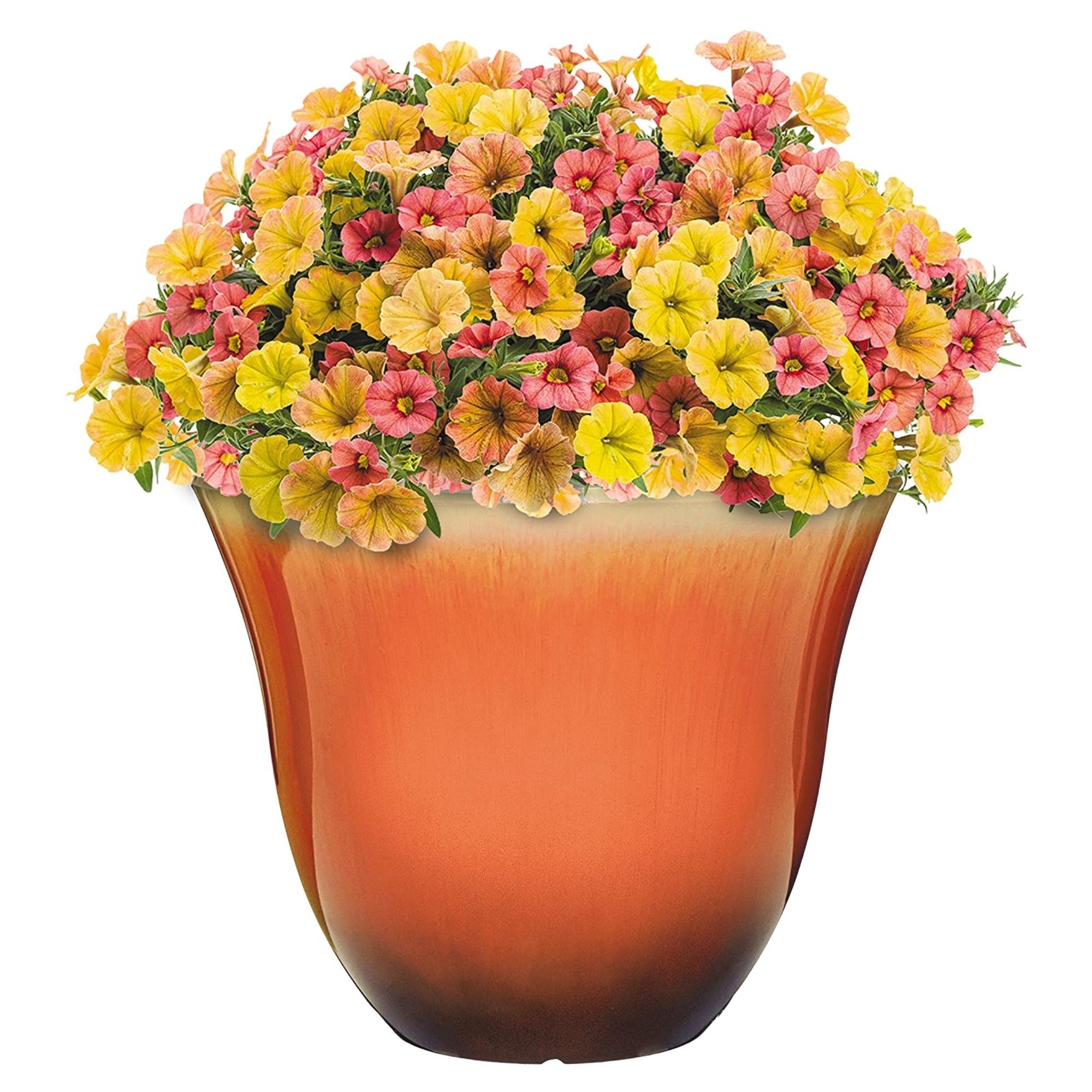 Classic Home and Garden Honeysuckle Resin Flower Pot Planter, Tequila Sunrise, 15