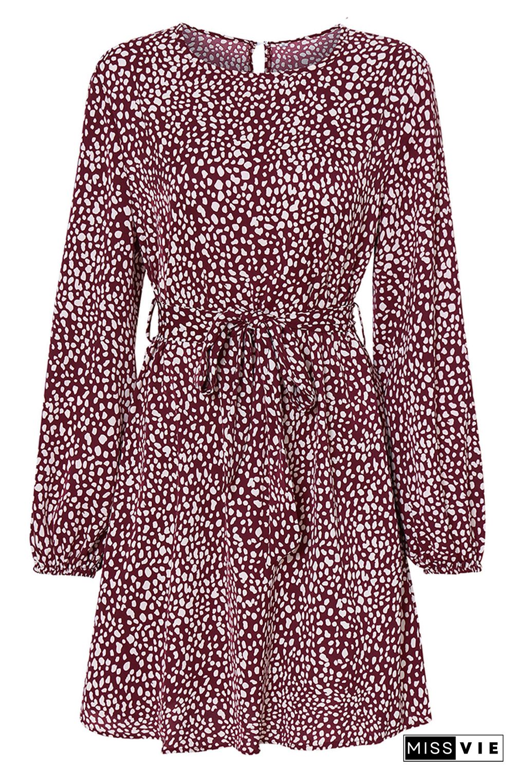 Leopard Print Waist Belt Long Sleeves Mini Dress