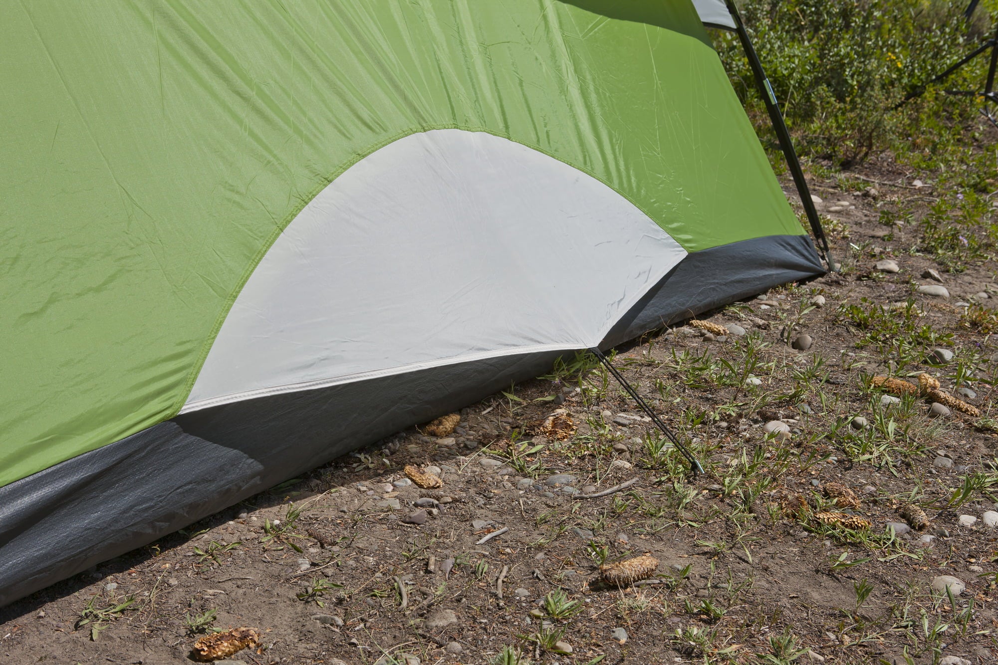 Coleman® 6-Person Sundome® Dome Camping Tent， 1 Room， Green