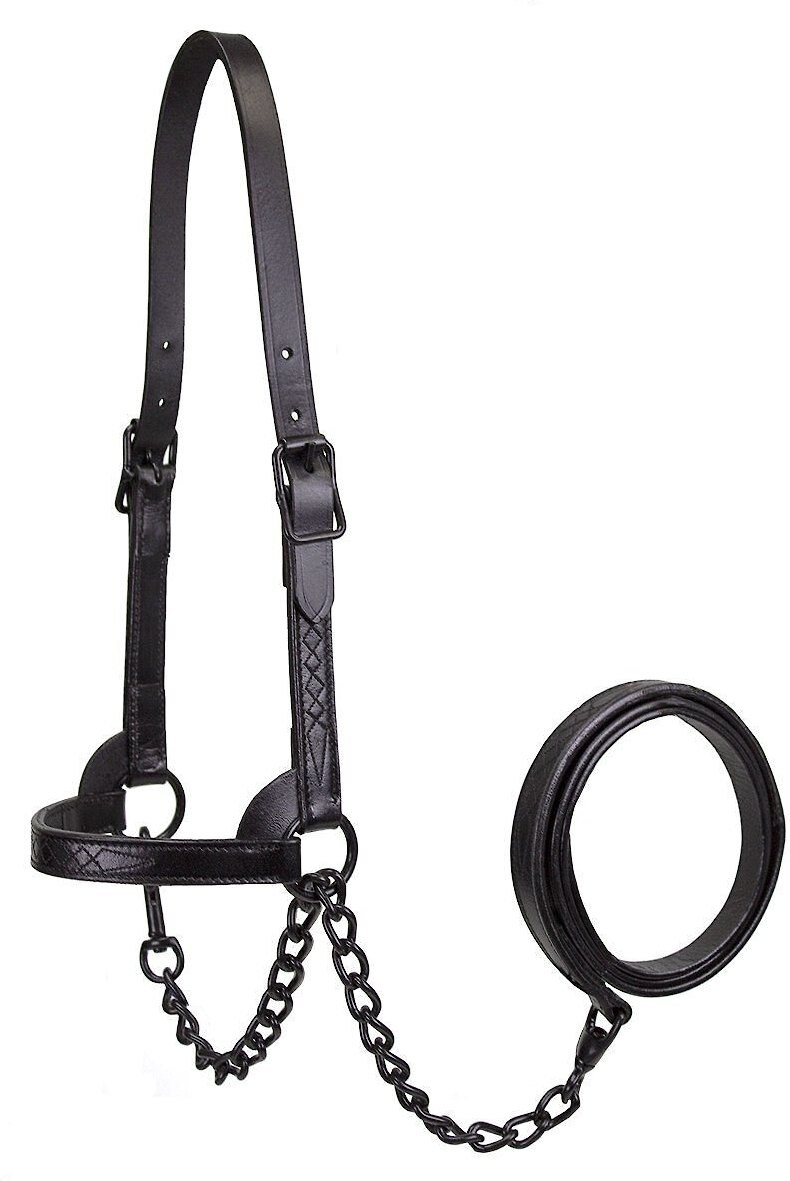 Derby Originals Premium Flat Fancy Stitch Leather Cattle Show Halter and Chain Lead， Black