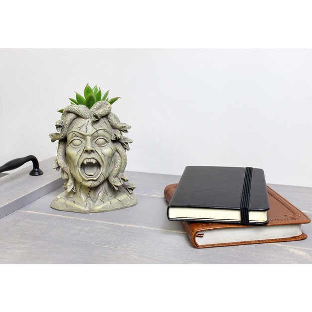 Darware Resin Medusa Head Planter Garden Decor Statue Flower Pot