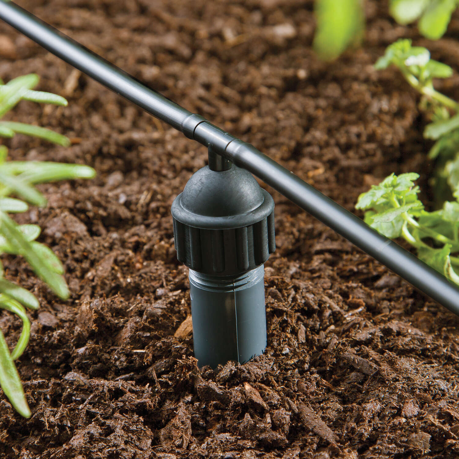 Raindrip 1/2 in. Drip Irrigation Adapter 1 pk