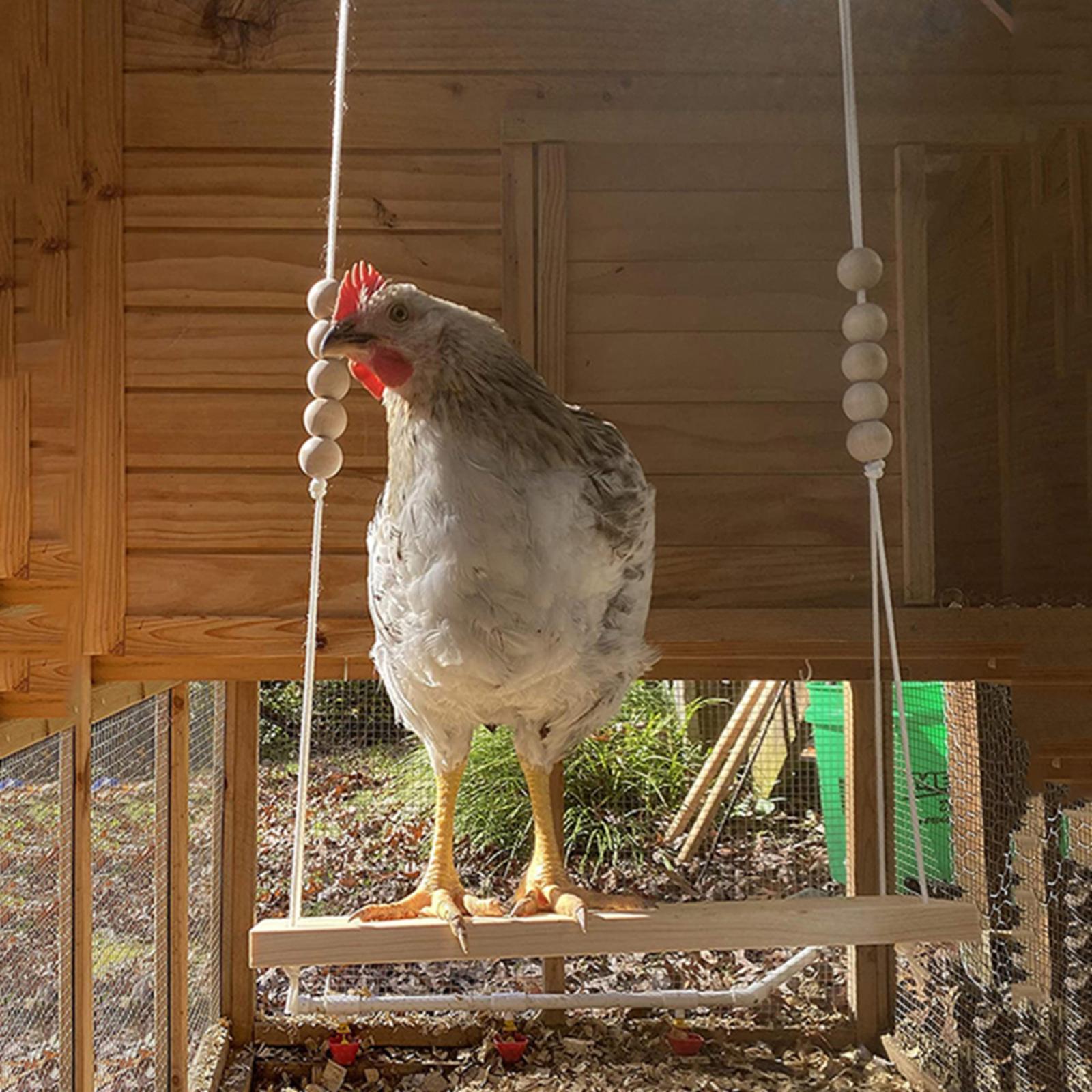 Wooden Chicken Swing Chicken Toys Chicken Coop Toys Birds Parrots Perch Exercise