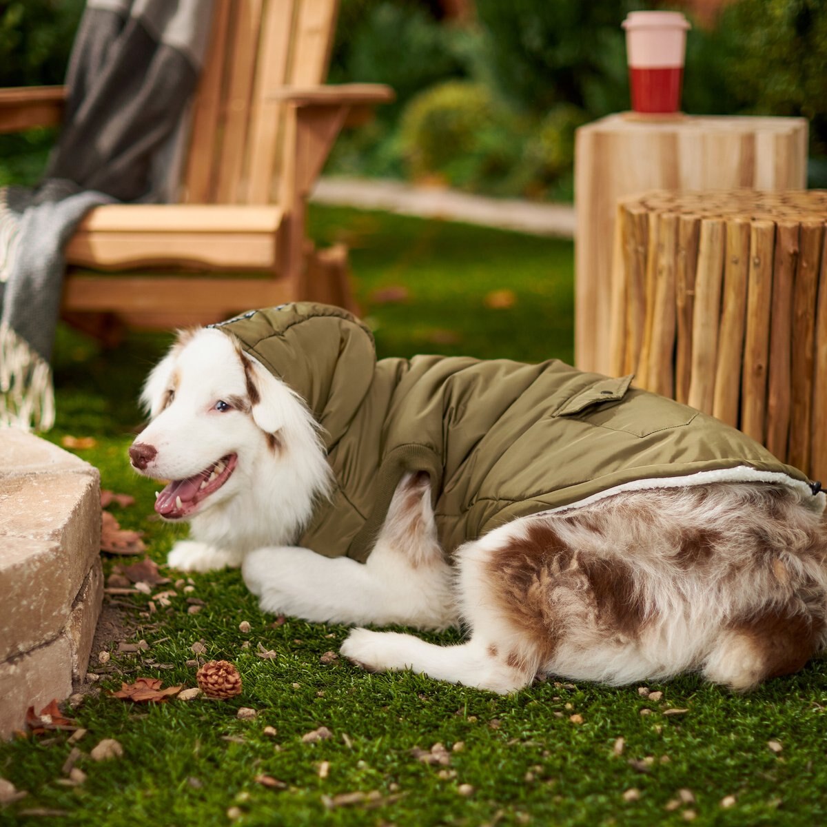 Frisco Mid-Heavyweight Love Insulated Dog and Cat Coat