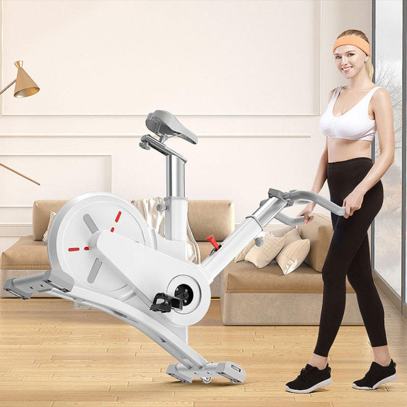 JW Quality Assurance Indoor Fitness Equipment Home Use Spin Bike Body Building Spinning Bike