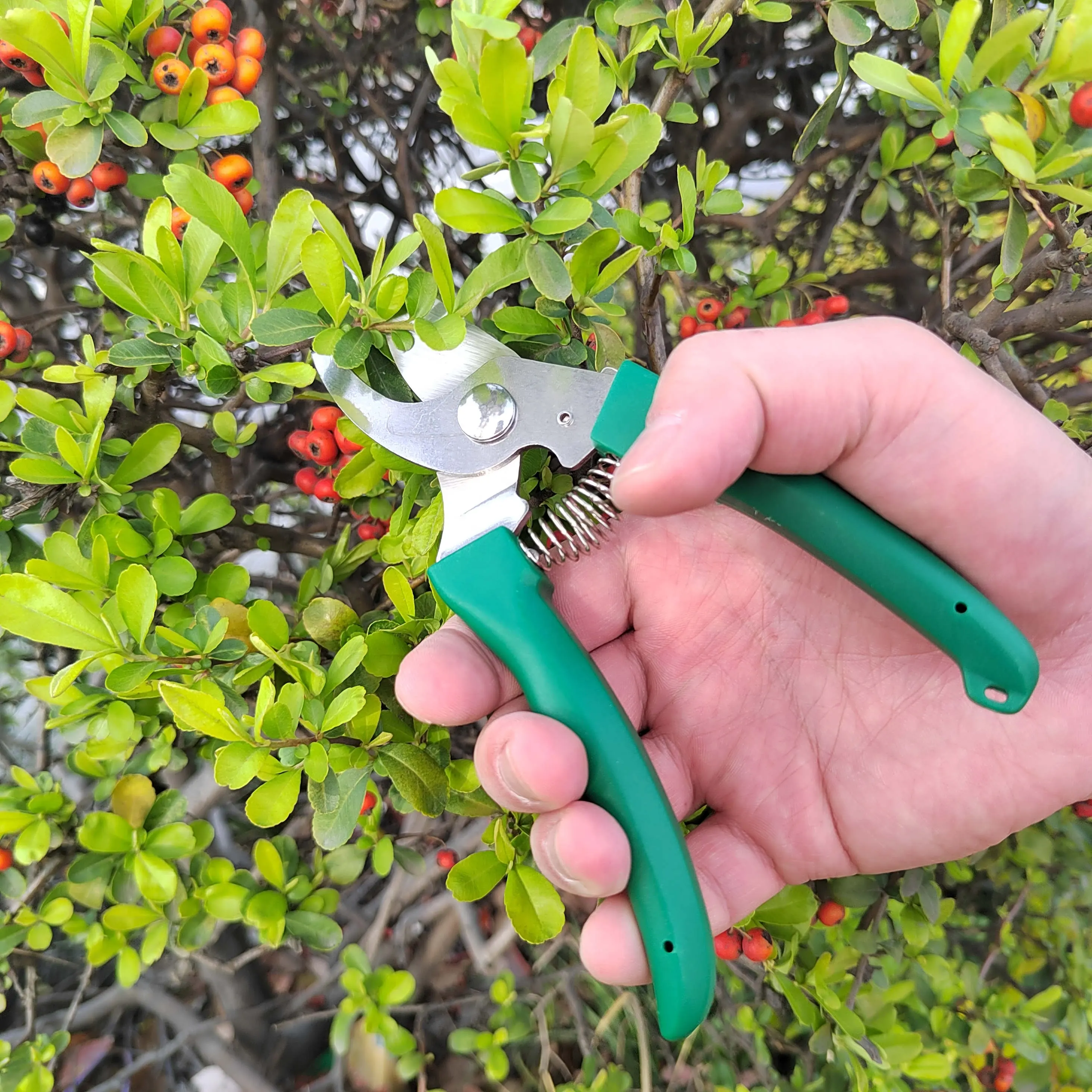 Wholesale 5 Pieces Gardening Hand Tools in Dark Green Color with Organizing Case