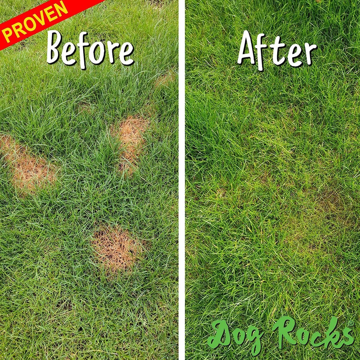 Dog Rocks Grass and Lawn Saver Dog Urine Burn Patch Protection