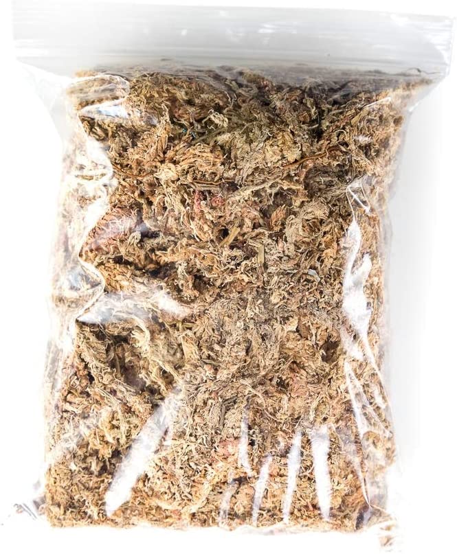 Josh's Frogs Chilean Sphagnum Moss (100g bag)