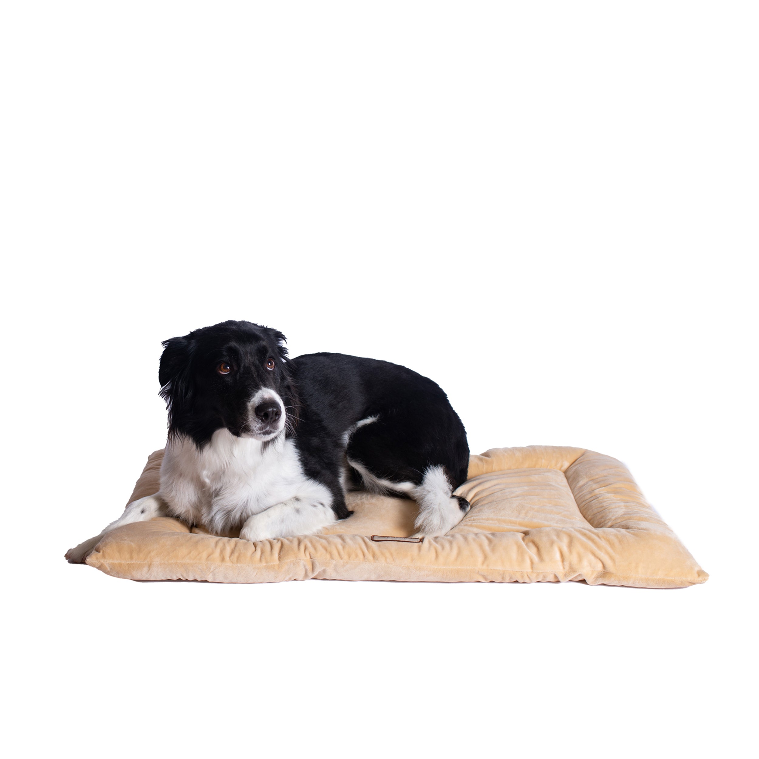 Armarkat M01CMH-L Large Pet Bed Mat ， Dog Crate Soft Pad With Poly Fill Cushion， Beige